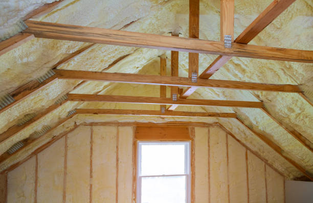 Best DIY Insulation Kits and Guidance in Albert Lea, MN