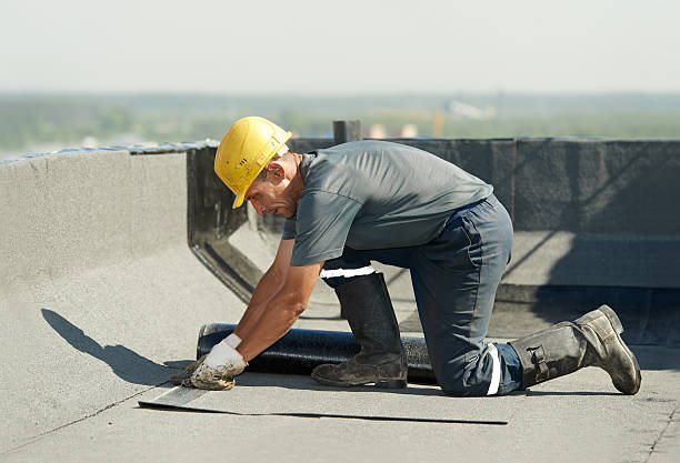 Best Geographic-Specific Insulation Services in Albert Lea, MN