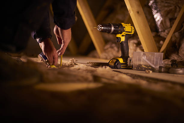 Best Insulation Maintenance and Repair in Albert Lea, MN